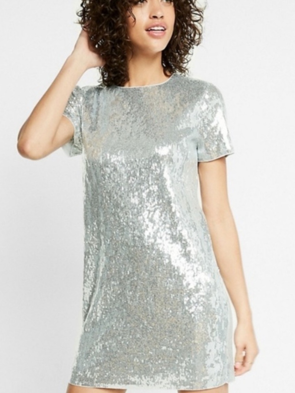 Express Silver Sequins Shift Dress Lined size small